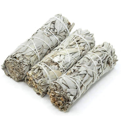 White Sage Bundle